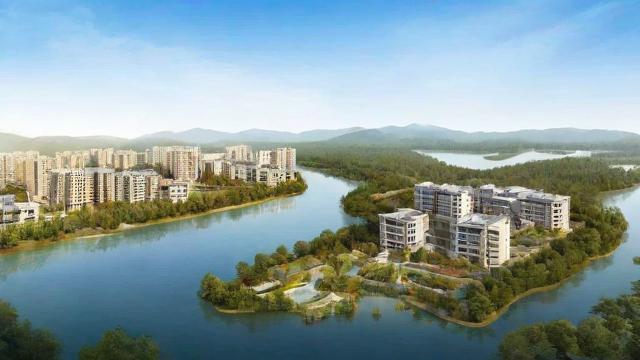 卧龙湖小镇:自然风光与人文魅力的完美结合,探索投资与居住的理想之地 第4张 卧龙湖小镇:自然风光与人文魅力的完美结合,探索投资与居住的理想之地 第4张