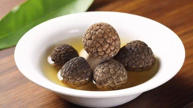 云南黑松露的生长环境与文化价值及烹饪应用全解析 第3张 云南黑松露的生长环境与文化价值及烹饪应用全解析 第3张