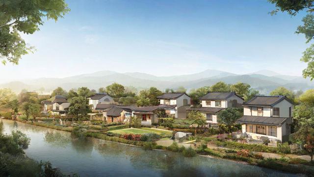 美丽乡村设计案例分析：打造生态与文化融合的乡村典范