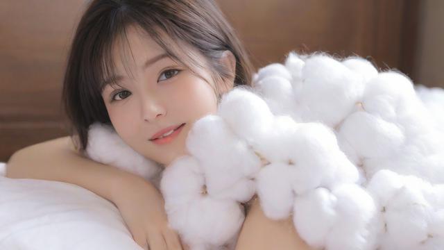 丝棉是什么及其独特魅力与广泛应用解析