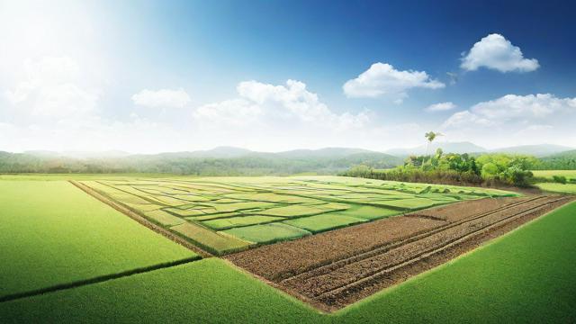 全面解析土地利用现状及其数据分析方法与应用策略 第2张 全面解析土地利用现状及其数据分析方法与应用策略 第2张