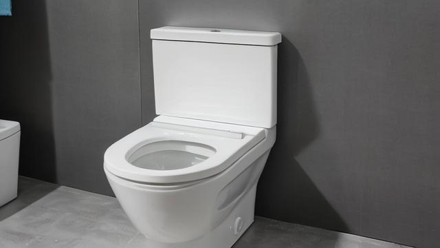 马桶上门维修哪家好?专业服务价格与技巧全解析 第4张 马桶上门维修哪家好?专业服务价格与技巧全解析 第4张
