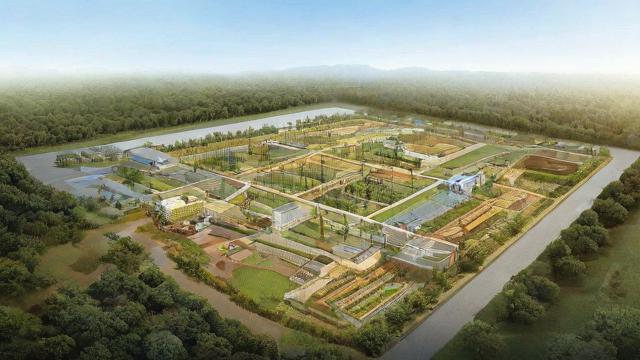 土地利用类型全面解析：农业用地、建设用地、林地与草地的合理规划与管理