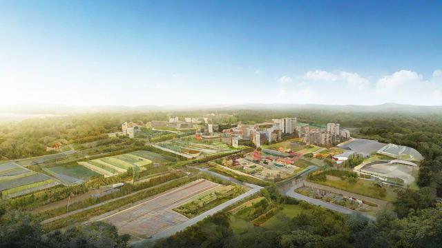 土地利用类型全面解析:农业用地、建设用地、林地与草地的合理规划与管理 第4张 土地利用类型全面解析:农业用地、建设用地、林地与草地的合理规划与管理 第4张