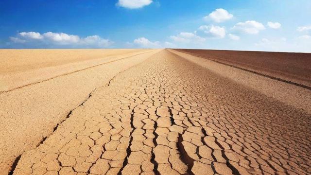 地面变形缝的全面解析:类型、施工与维护全攻略 第4张 地面变形缝的全面解析:类型、施工与维护全攻略 第4张