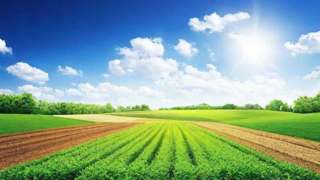 土地使用性质变更全流程解析及实际案例分享  第2张