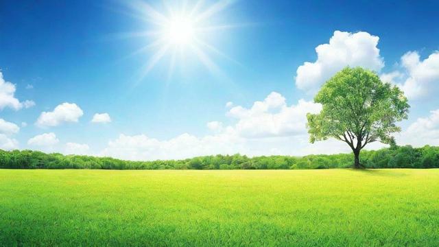 土地证查询全攻略:线上与线下操作流程及常见问题解决方法 第3张 土地证查询全攻略:线上与线下操作流程及常见问题解决方法 第3张