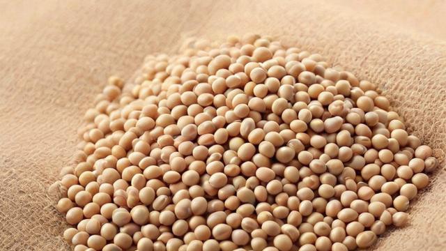 大豆纤维棉：舒适与环保兼备的未来纺织材料
