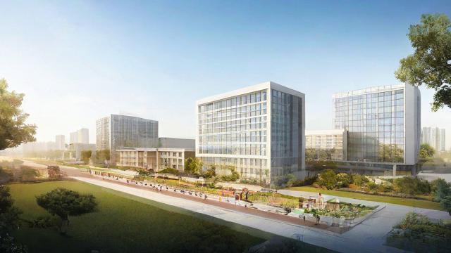 建筑占地面积与容积率的关系及优化策略全面解析