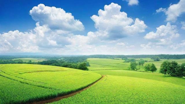 土地收益金的定义、作用及计算方法详解 第2张 土地收益金的定义、作用及计算方法详解 第2张