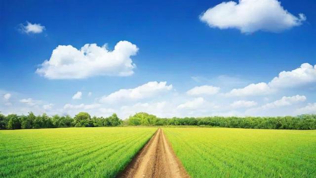 集体土地使用证办理及补办全流程指南,轻松搞定证件问题 第2张 集体土地使用证办理及补办全流程指南,轻松搞定证件问题 第2张