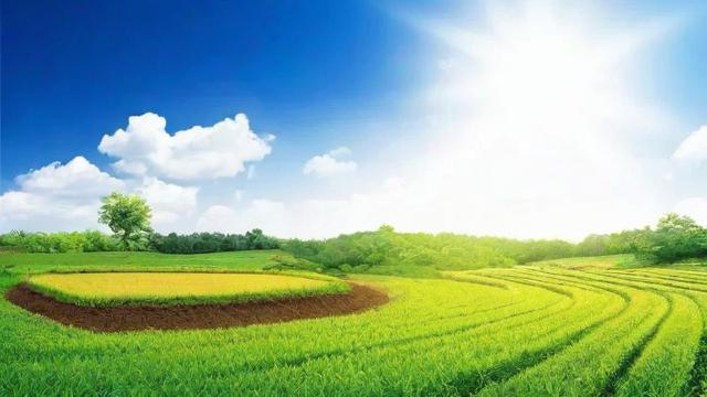 土地确权查询流程及权益保护指南 第2张 土地确权查询流程及权益保护指南 第2张